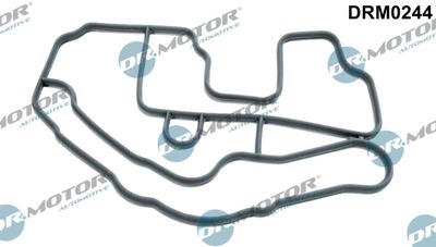 Gasket, thermostat housing Dr.Motor Automotive DRM0244