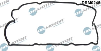Gasket, cylinder head cover Dr.Motor Automotive DRM0245