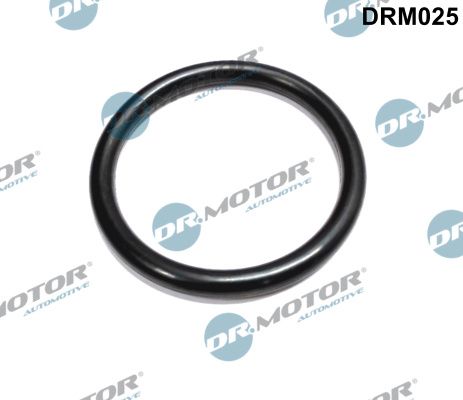 Dr.Motor Automotive DRM025 Gasket, throttle body