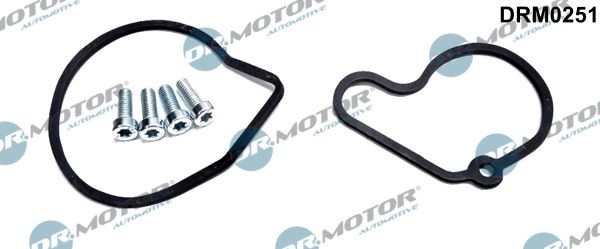 Dr.Motor Automotive DRM0251 Repair Set, vacuum pump (braking system)