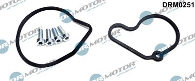 Repair Set, vacuum pump (braking system) Dr.Motor Automotive DRM0251
