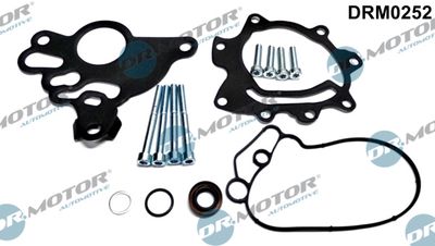 Repair Set, vacuum pump (braking system) Dr.Motor Automotive DRM0252