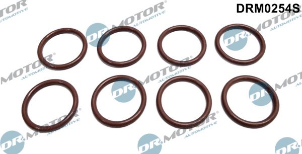 Dr.Motor Automotive DRM0254S Seal Ring, nozzle holder