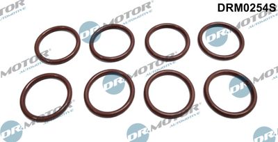 Seal Ring, nozzle holder Dr.Motor Automotive DRM0254S