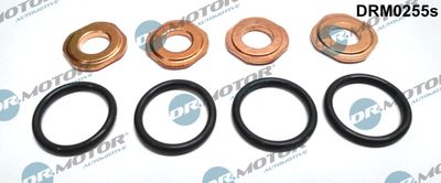 Seal Kit, injector nozzle Dr.Motor Automotive DRM0255S