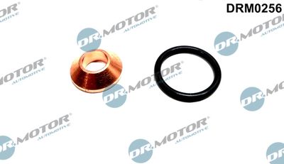 Seal Kit, injector nozzle Dr.Motor Automotive DRM0256