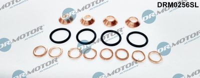 Seal Kit, injector nozzle Dr.Motor Automotive DRM0256SL