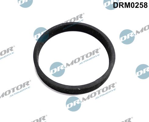 Dr.Motor Automotive DRM0258 Seal, turbine inlet (charger)