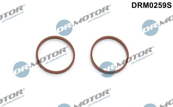 Dr.Motor Automotive DRM0259S Gasket Set, intake manifold