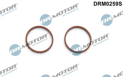 Gasket Set, intake manifold Dr.Motor Automotive DRM0259S