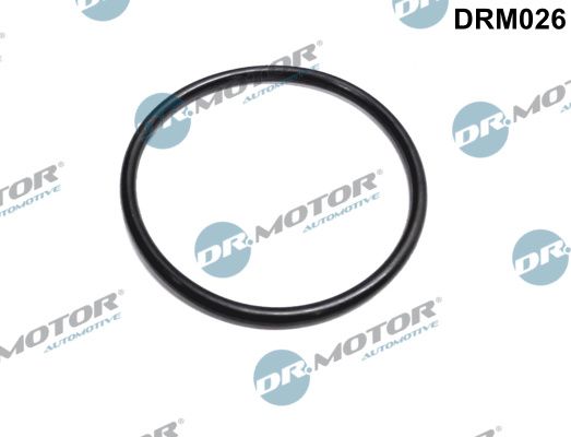 Dr.Motor Automotive DRM026 Gasket, throttle body