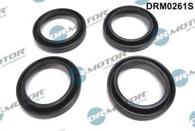 Seal, injector holder Dr.Motor Automotive DRM0261S