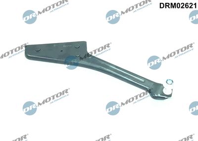 Roller Guide, sliding door Dr.Motor Automotive DRM02621