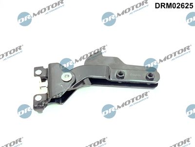 Roller Guide, sliding door Dr.Motor Automotive DRM02625