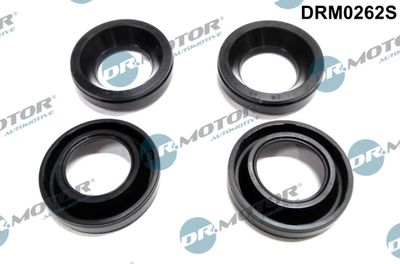 Seal, injector holder Dr.Motor Automotive DRM0262S
