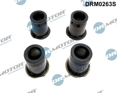 Seal Kit, injector nozzle Dr.Motor Automotive DRM0263S