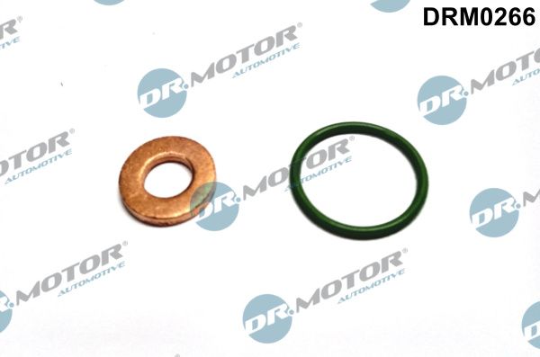 Dr.Motor Automotive DRM0266 Seal Kit, injector nozzle