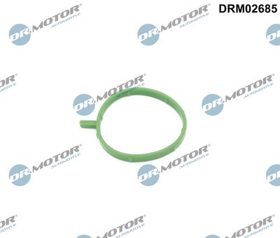 Seal Ring, air filter housing intake hose Dr.Motor Automotive DRM02685