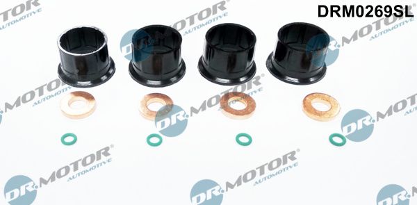 Dr.Motor Automotive DRM0269SL Seal Kit, injector nozzle