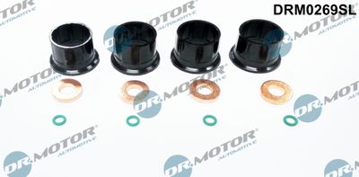 Seal Kit, injector nozzle Dr.Motor Automotive DRM0269SL