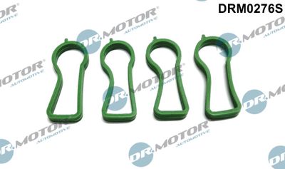 Gasket Set, intake manifold Dr.Motor Automotive DRM0276S
