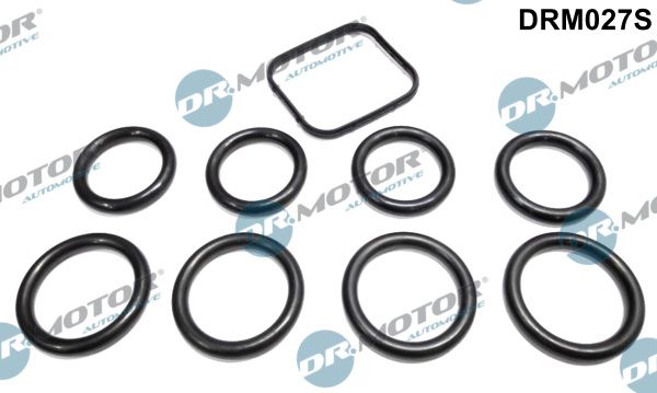 Dr.Motor Automotive DRM027S Gasket Set, intake manifold