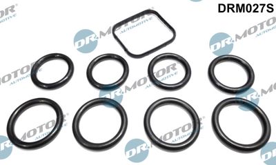 Gasket Set, intake manifold Dr.Motor Automotive DRM027S