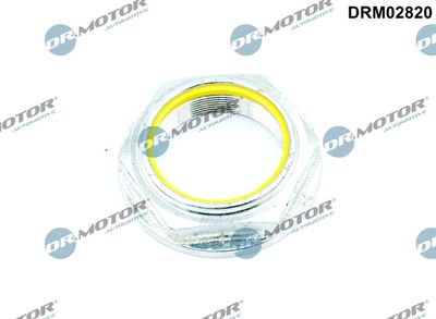 Nut, kingpin Dr.Motor Automotive DRM02820