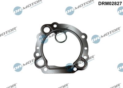 Gasket, EGR valve Dr.Motor Automotive DRM02827