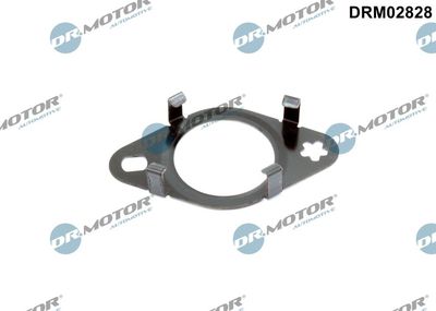 Gasket, EGR valve pipe Dr.Motor Automotive DRM02828