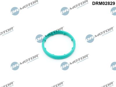 Gasket, oil cooler Dr.Motor Automotive DRM02829