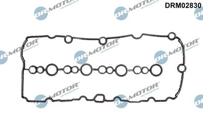 Gasket, cylinder head cover Dr.Motor Automotive DRM02830