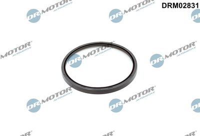 Shaft Seal, crankshaft Dr.Motor Automotive DRM02831