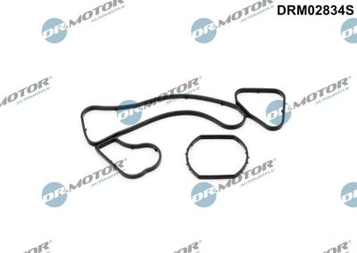 Gasket, oil cooler Dr.Motor Automotive DRM02834S