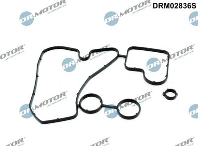 Gasket, oil cooler Dr.Motor Automotive DRM02836S