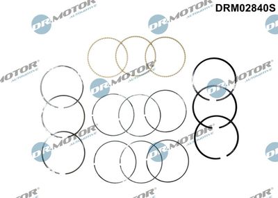 Piston Ring Kit Dr.Motor Automotive DRM02840S