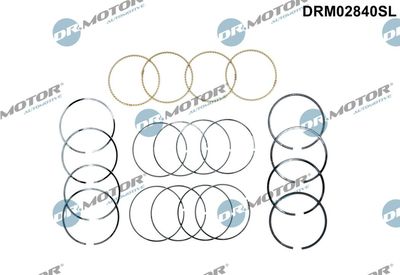 Piston Ring Kit Dr.Motor Automotive DRM02840SL