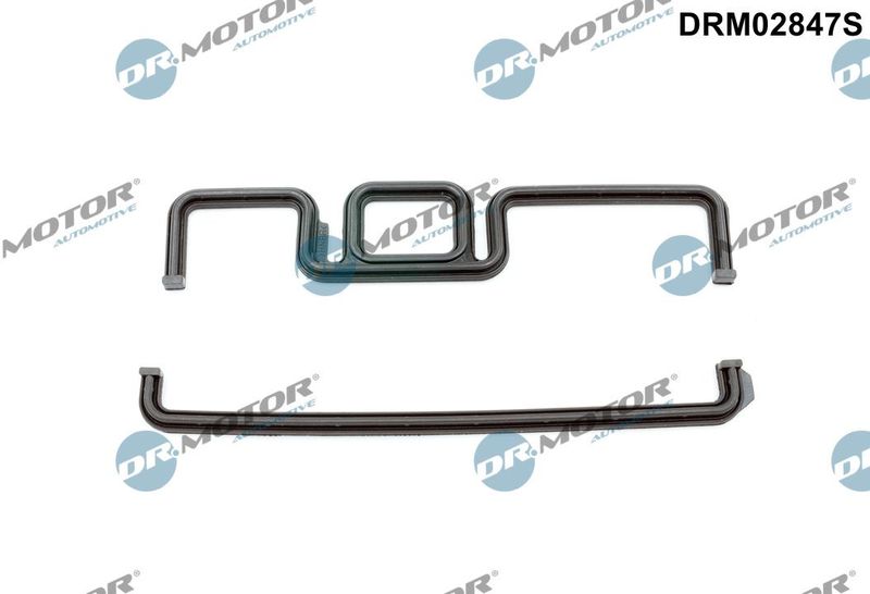 Dr.Motor Automotive DRM02847S Gasket, timing case