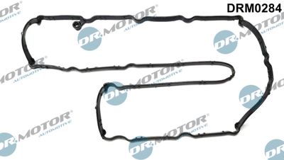 Gasket, cylinder head cover Dr.Motor Automotive DRM0284