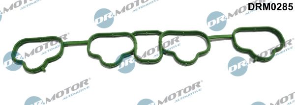 Dr.Motor Automotive DRM0285 Gasket, intake manifold