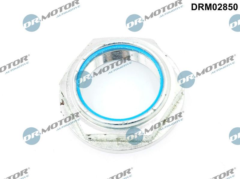 Dr.Motor Automotive DRM02850 Nut, kingpin