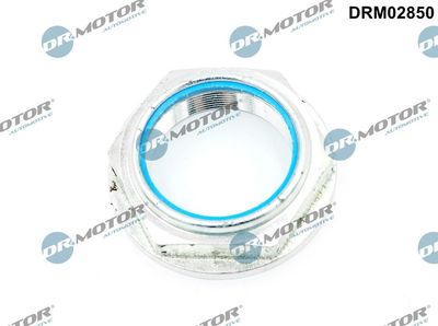 Nut, kingpin Dr.Motor Automotive DRM02850
