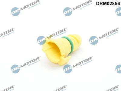 Screw Plug, oil sump Dr.Motor Automotive DRM02856