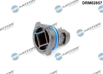 Screw Plug, oil sump Dr.Motor Automotive DRM02857