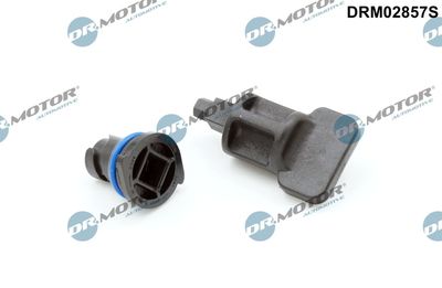Screw Plug, oil sump Dr.Motor Automotive DRM02857S