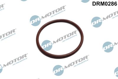 Gasket, fuel pump Dr.Motor Automotive DRM0286