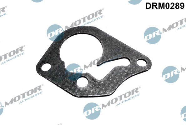 Dr.Motor Automotive DRM0289 Gasket, vacuum pump