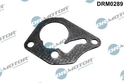 Gasket, vacuum pump Dr.Motor Automotive DRM0289