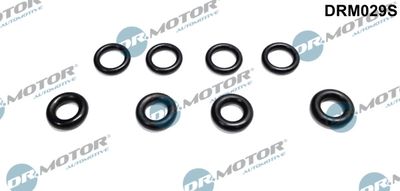 Seal Ring, nozzle holder Dr.Motor Automotive DRM029S