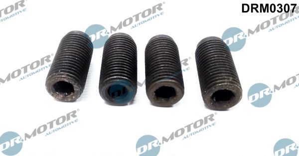 Dr.Motor Automotive DRM0307 Adjustment Screw, injector pump